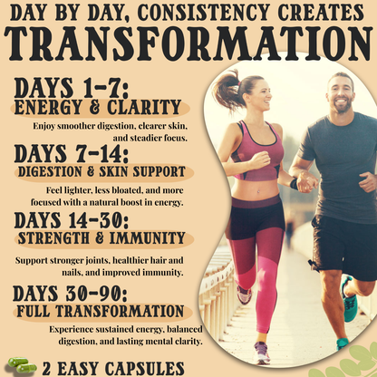 TruBeam Wellness  Moringa